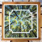 Mahjong by SI™ Tall Timber