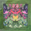 Garden Rorschah Directions 31