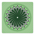 Knowledge is Flower | Green